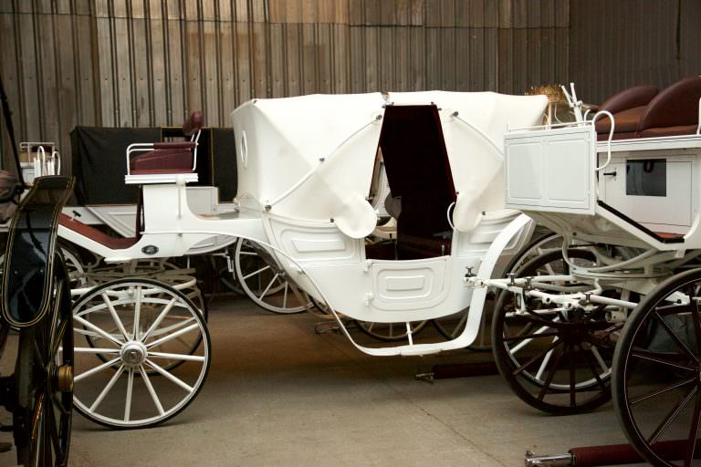 White Carriage 3 - A-Z Animals