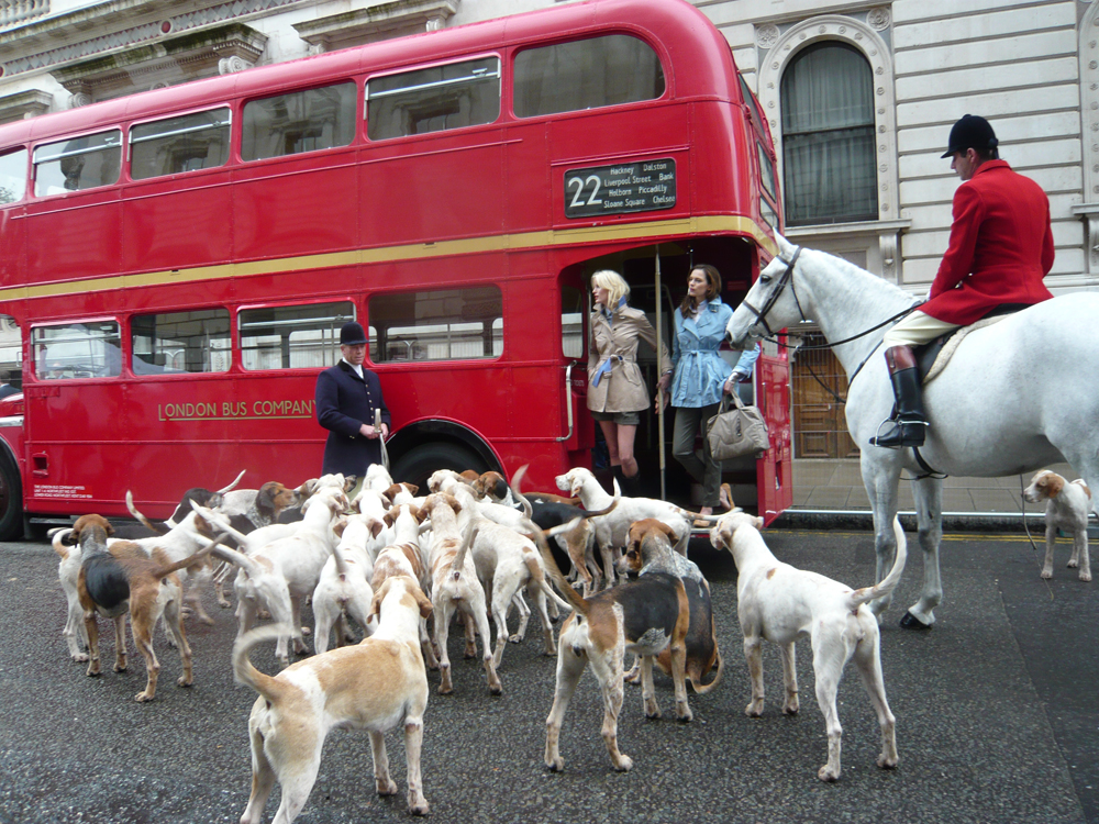 Rent Foxhounds